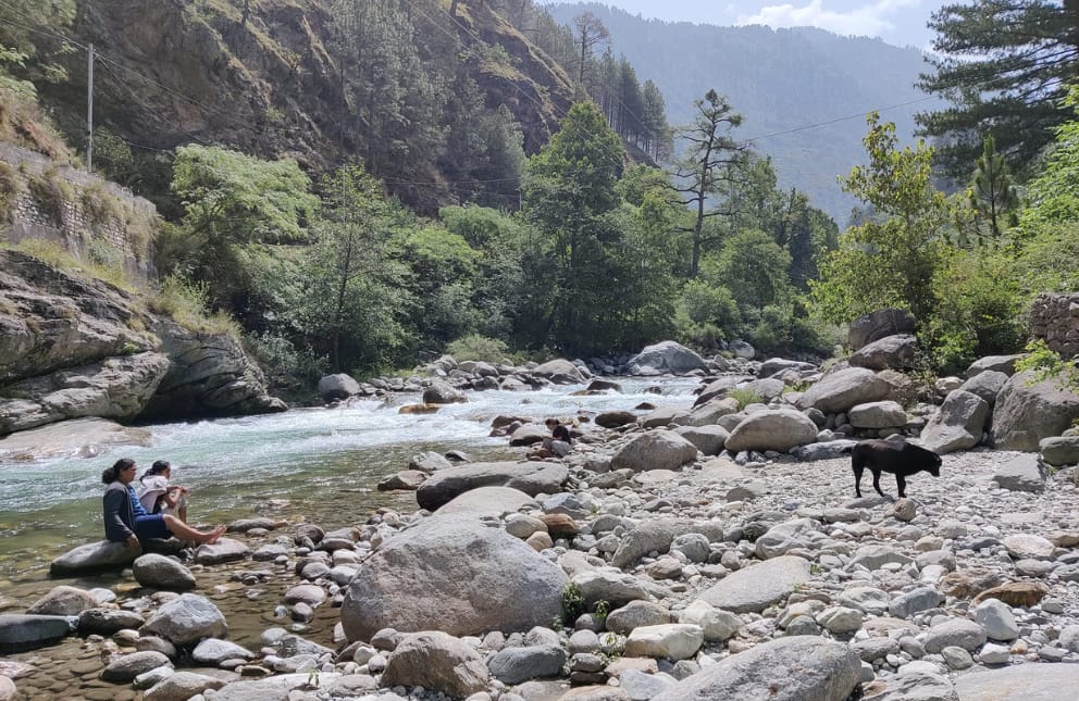 Riverside stay in Tirthan Valley