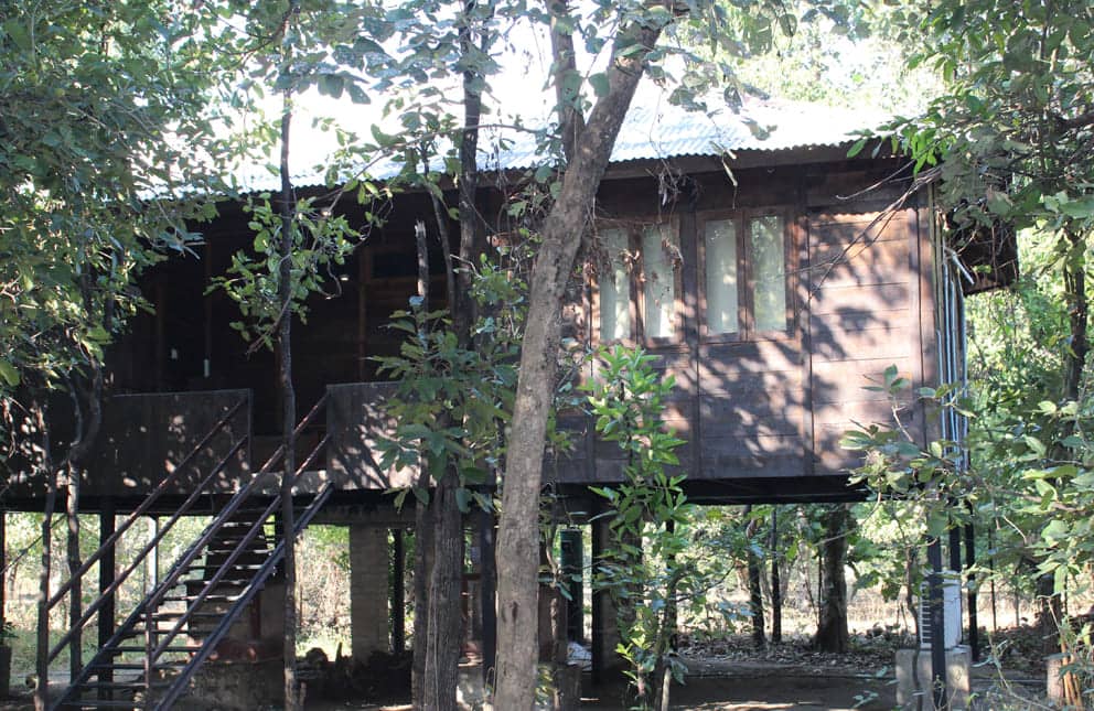 experience-forest-living-pench